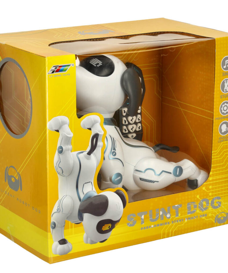 Interaktiivne robotkoer mänguasjana