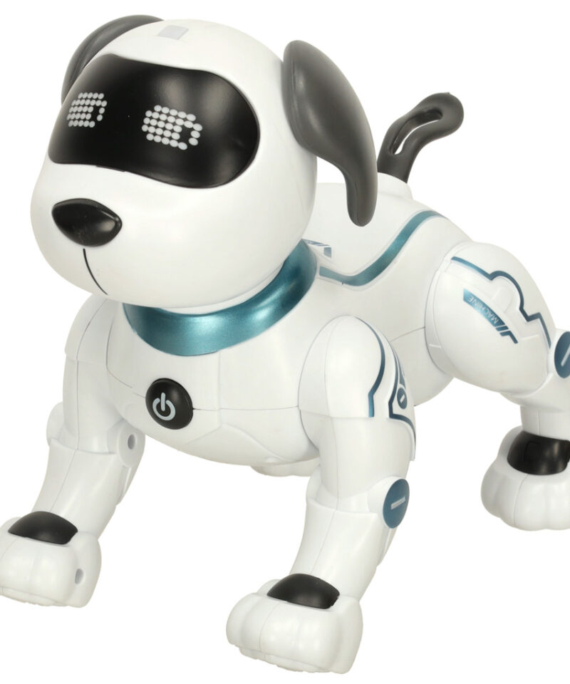 Kaugjuhitav robotkoer laste rõõmuks