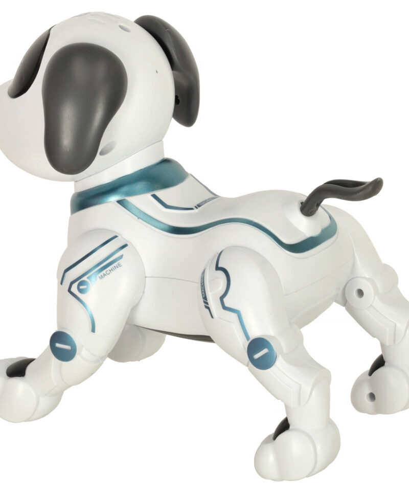 Robotkoer, mis jäljendab trikke