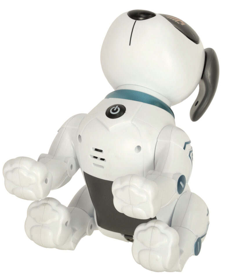 Robotkoer häälkäsklustega