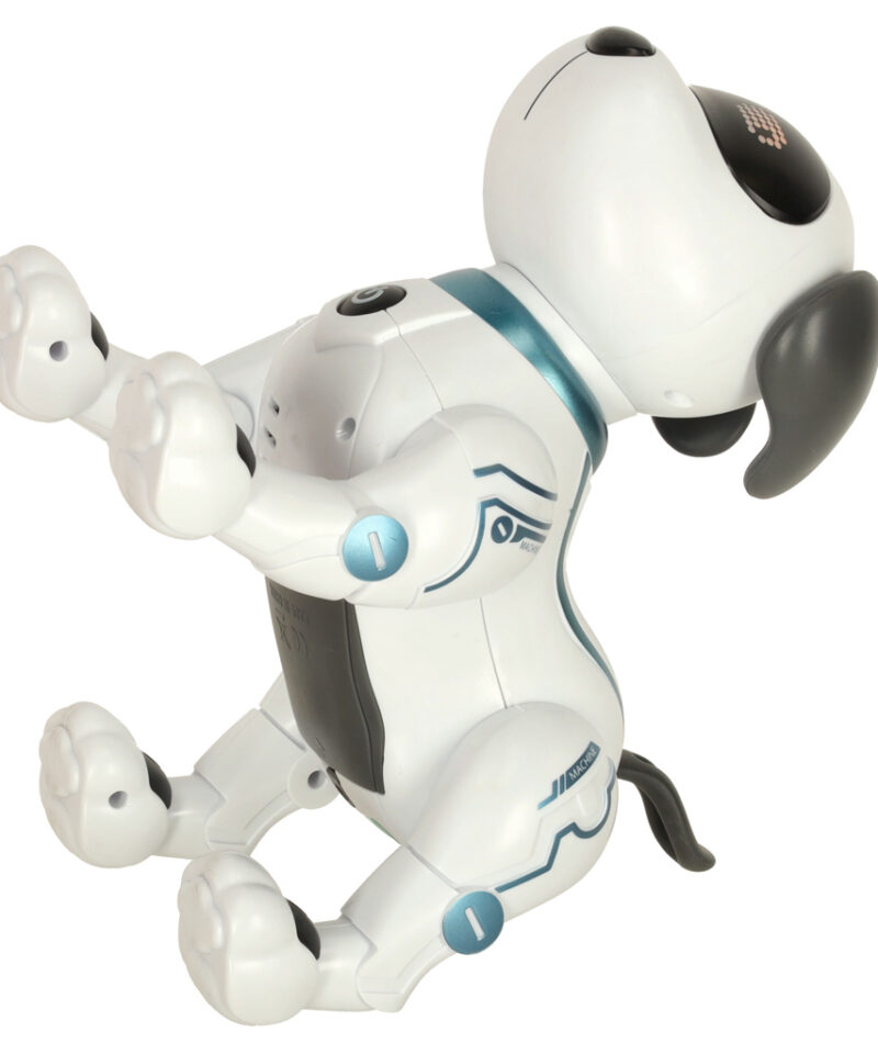 Loovust arendav robotkoer