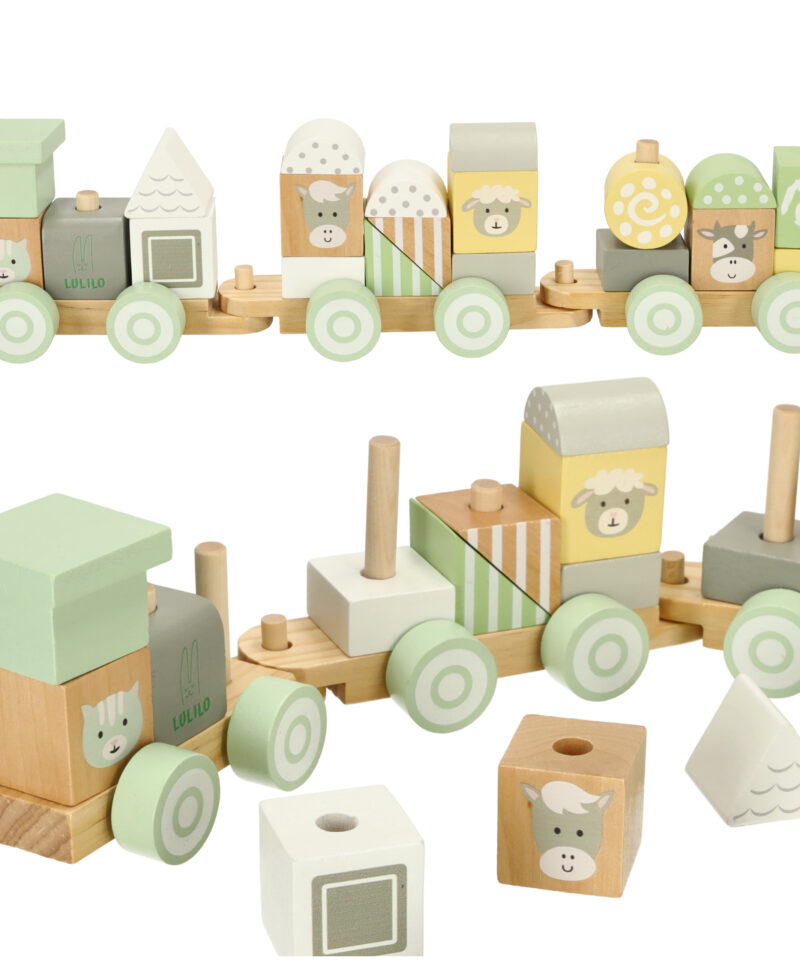 Puidust rongikomplekt kingituseks