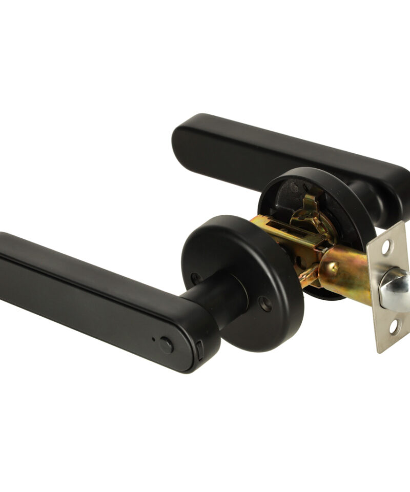 Elektrooniline lukk, mida saab hallata Tuya Smart rakendusega