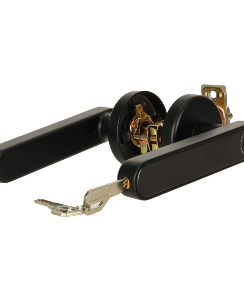 Elektrooniline lukk, mida saab hallata Tuya Smart rakendusega