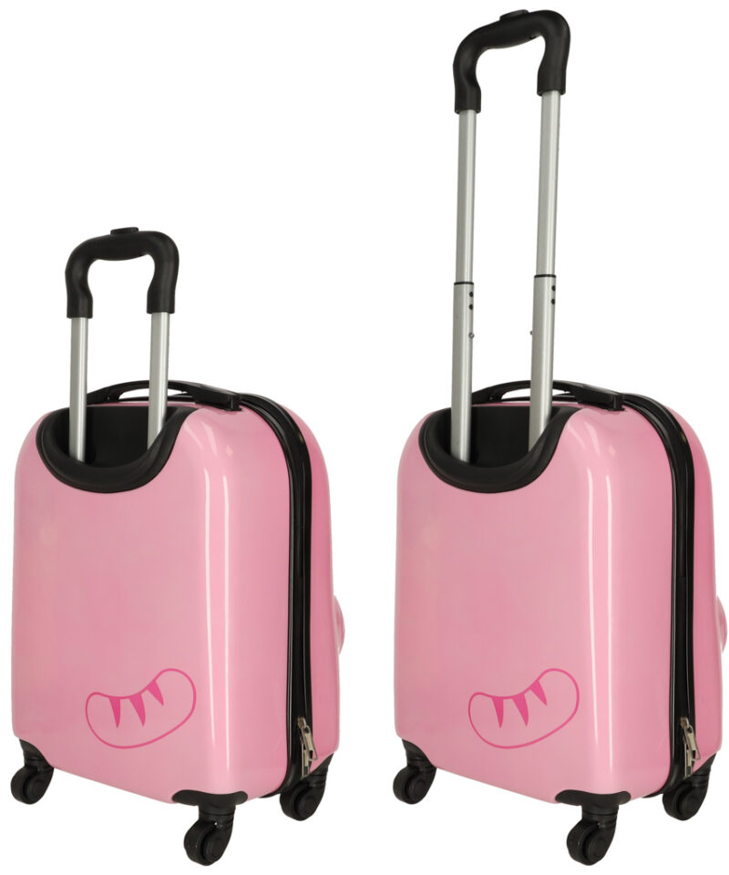 Kassi graafikaga reisikohver