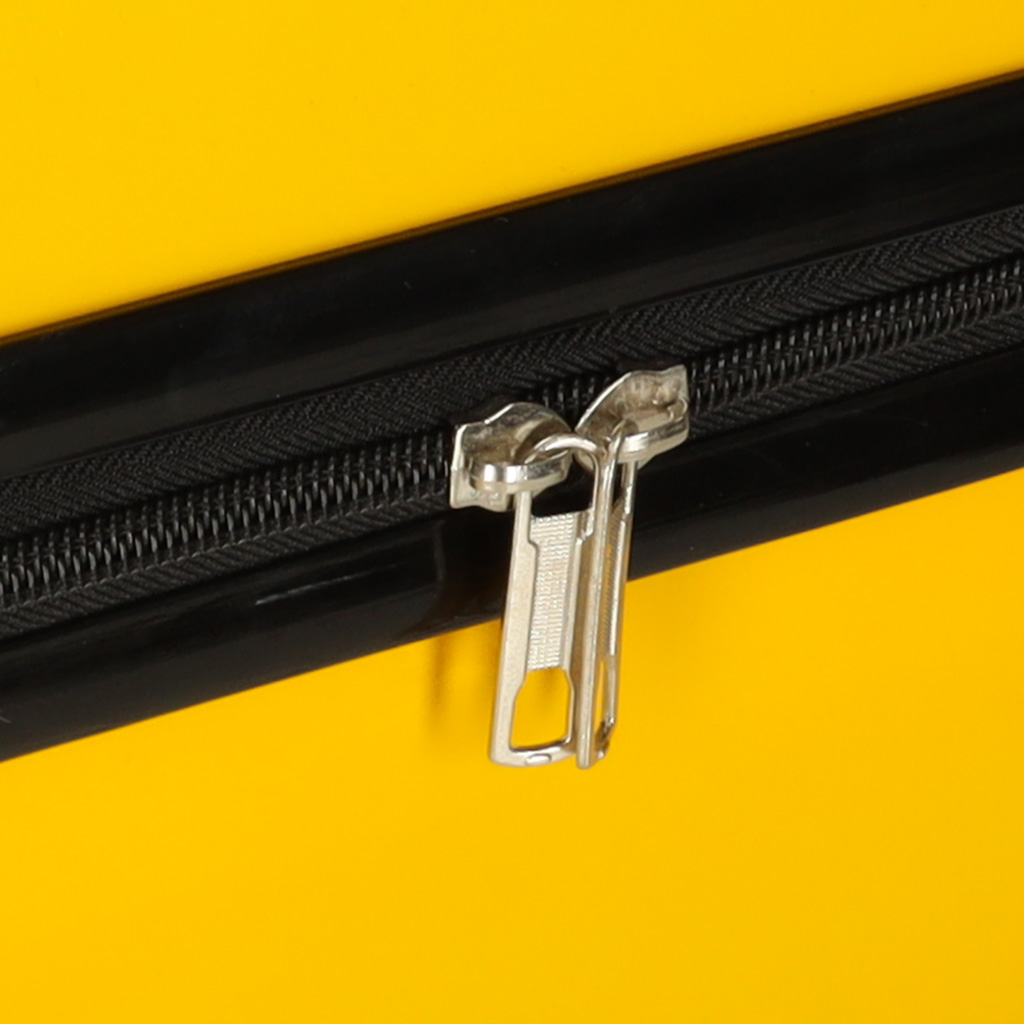 Laste kohver lõviga disain