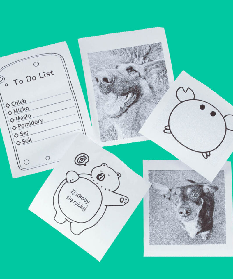 Termopaberirullid kaitsepakendis