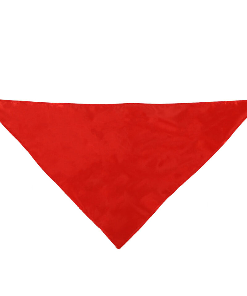 Mugav piraadikostüüm 3-8 aastastele