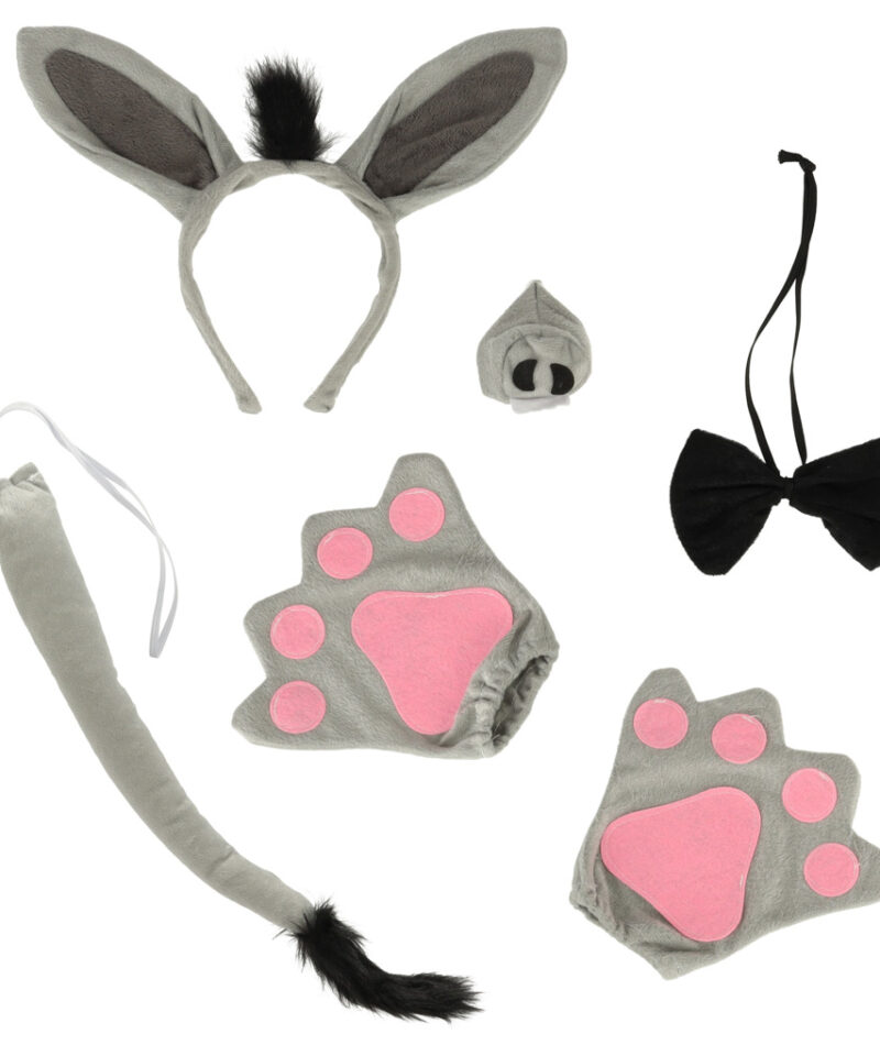 Kostüüm koos tüllseeliku ja peavõruga