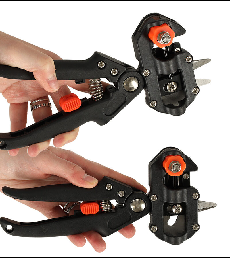 Teravad terad täpseks pookimiseks