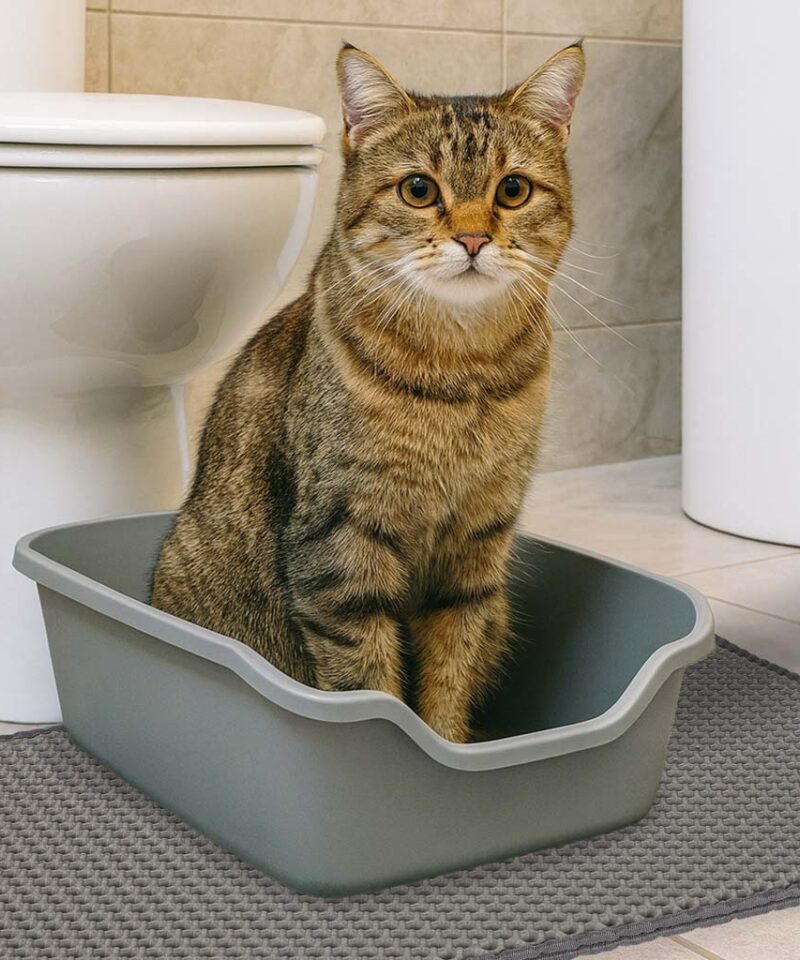 Kassi aluse matt lihtsustab koristamist