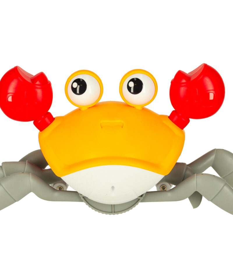 Põgenev krabi mänguasjana