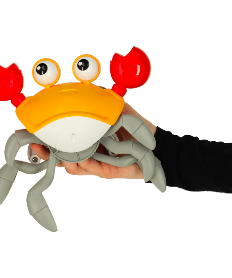 Krabi, mis väldib takistusi