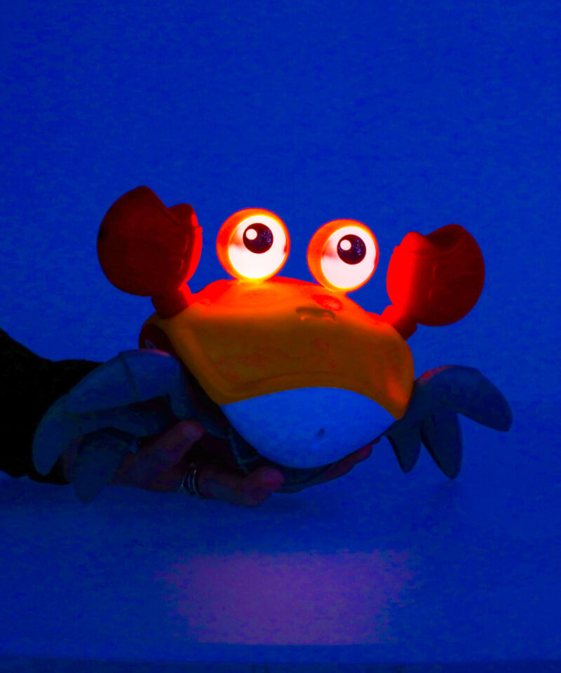 Krabi, mis väldib takistusi