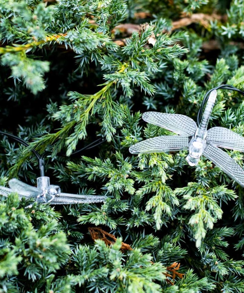 Lihtsalt paigaldatavad aialambid