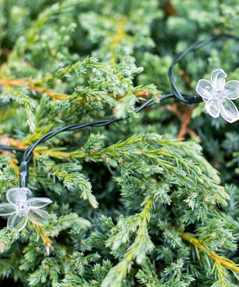 Lillede kujulised LED valgustid