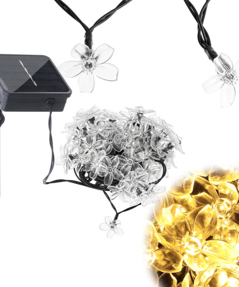 Ökonoomne valgustus aeda