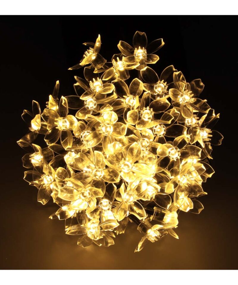 Ökonoomne valgustus aeda