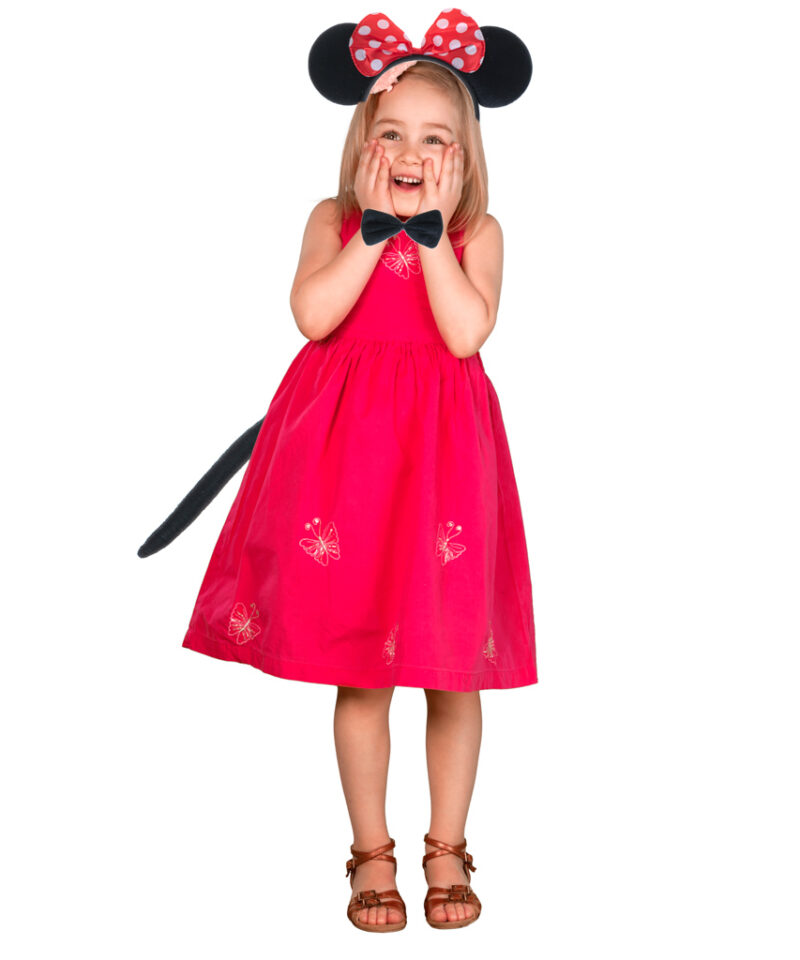 Pehmed ja mugavad hiirekõrvad