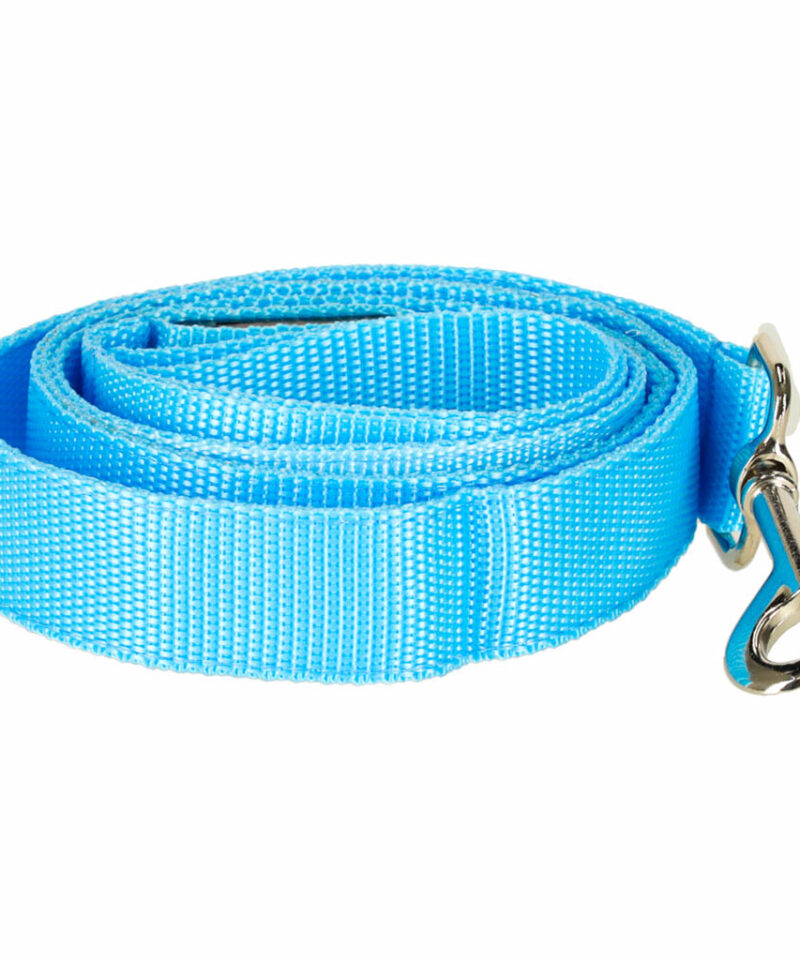 Ohutu jalutusrihm lemmikloomale