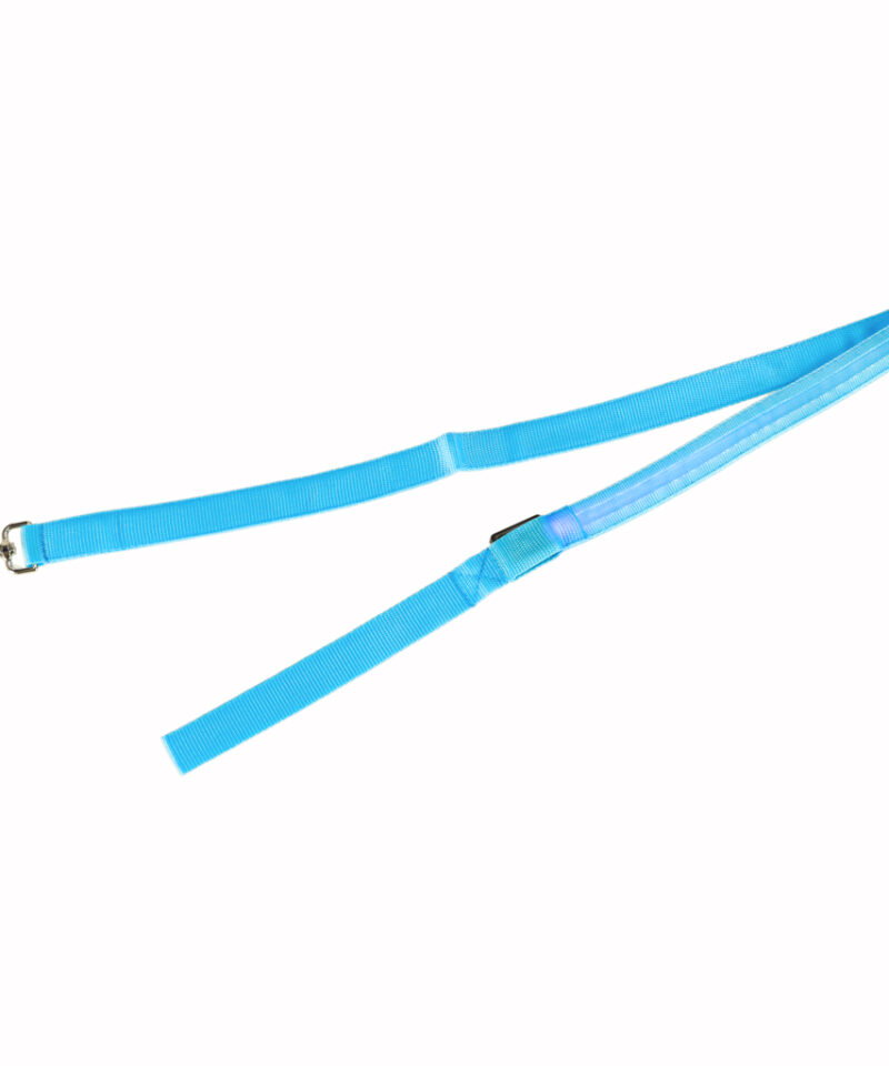 Kulumiskindel lemmiklooma rihm