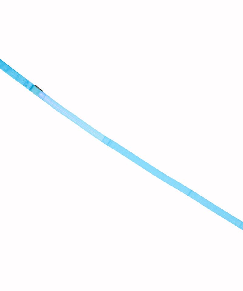 Kulumiskindel lemmiklooma rihm