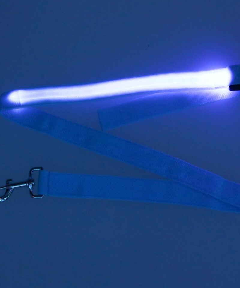 Kulumiskindel lemmiklooma rihm