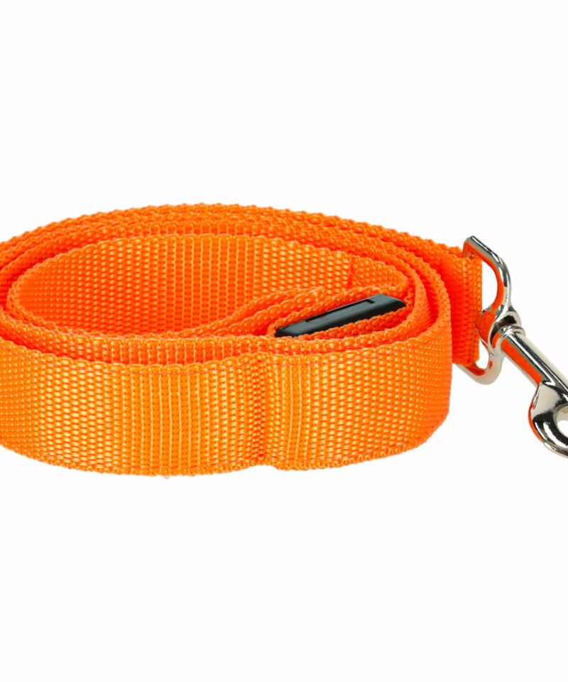 LED jalutusrihm lemmikloomale turvaliseks jalutamiseks