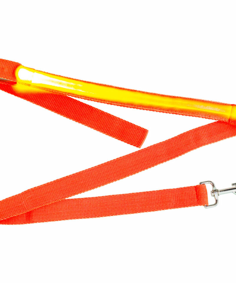 Oranž LED jalutusrihm lemmikloomale