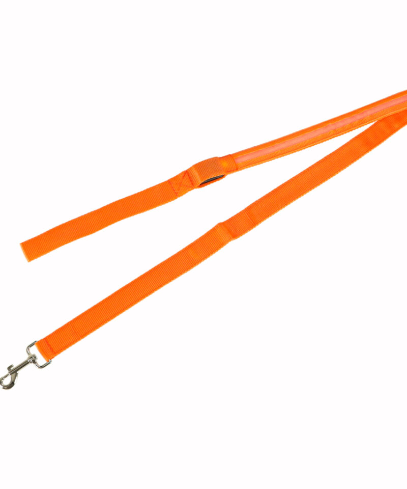 Jalutusrihm lemmikloomale koos patareidega