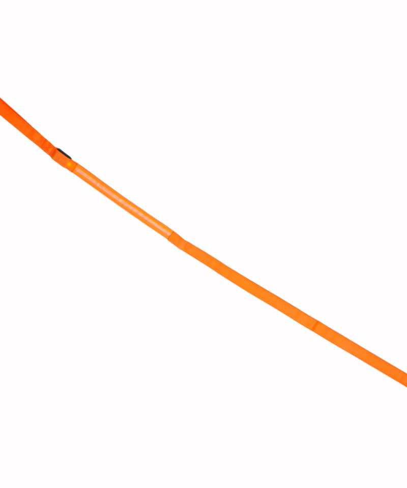 Jalutusrihm lemmikloomale koos patareidega