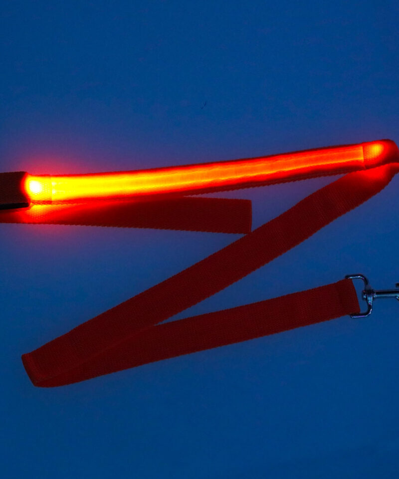 Jalutusrihm lemmikloomale koos patareidega