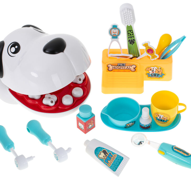Lastele mõeldud loomaarsti mängukomplekt
