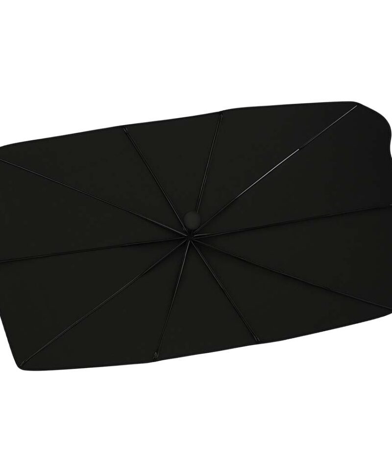 Hoia auto sisemus jahedana