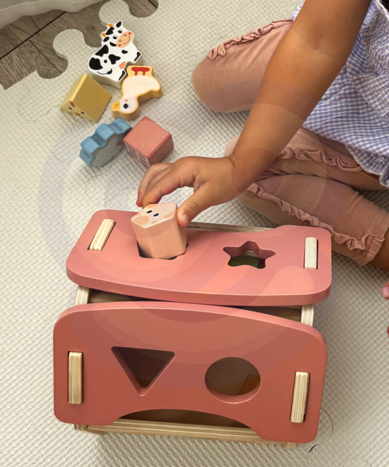 Hariv mänguasi väikelastele