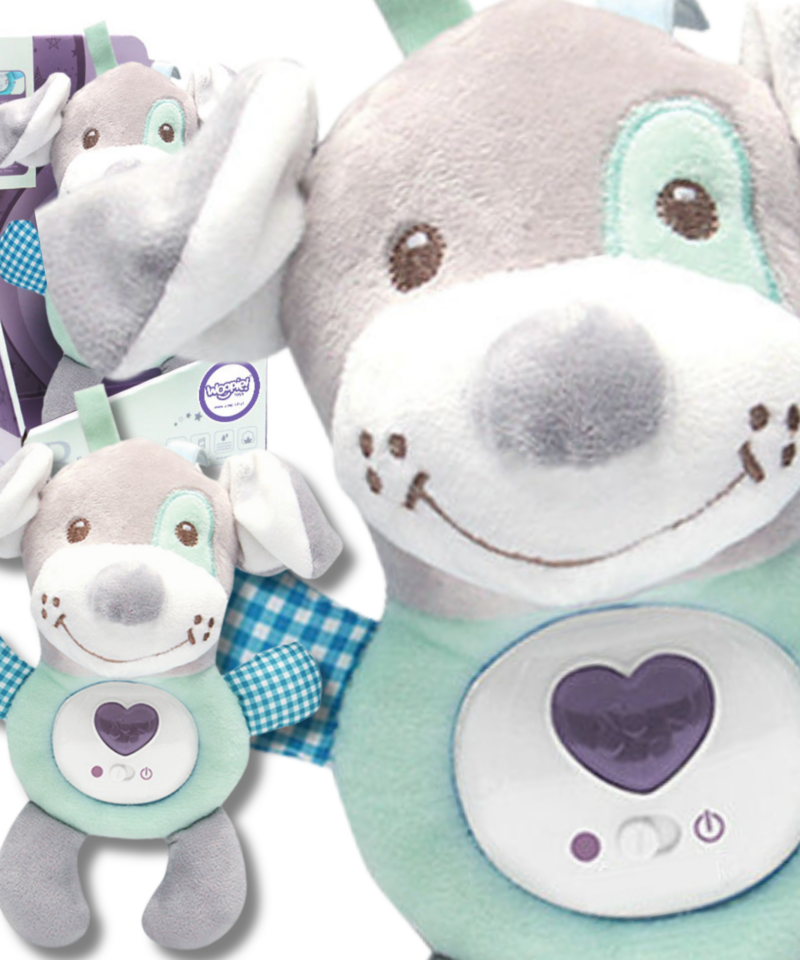 Interaktiivne kaisukoer beebidele