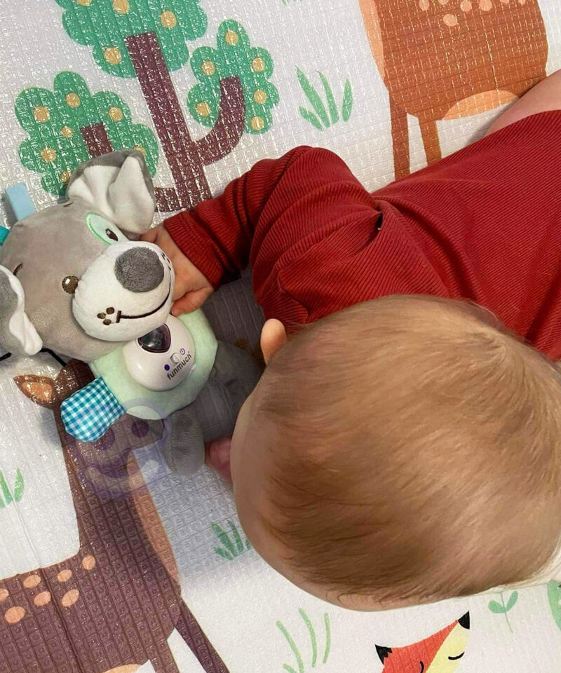 Beebisõbralik kaisukas