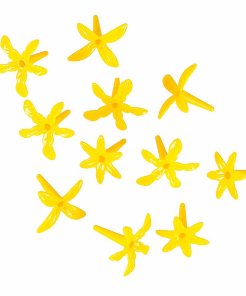 Autod ja rajasegmendid kaasas