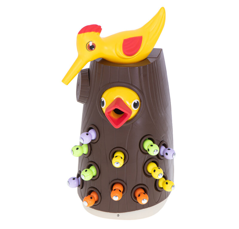 Lapsed mängivad magnetilise linnumänguga