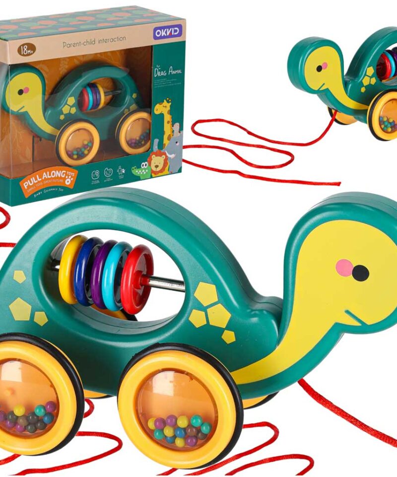 Sensoorne tõmmatav kilpkonn mängimas