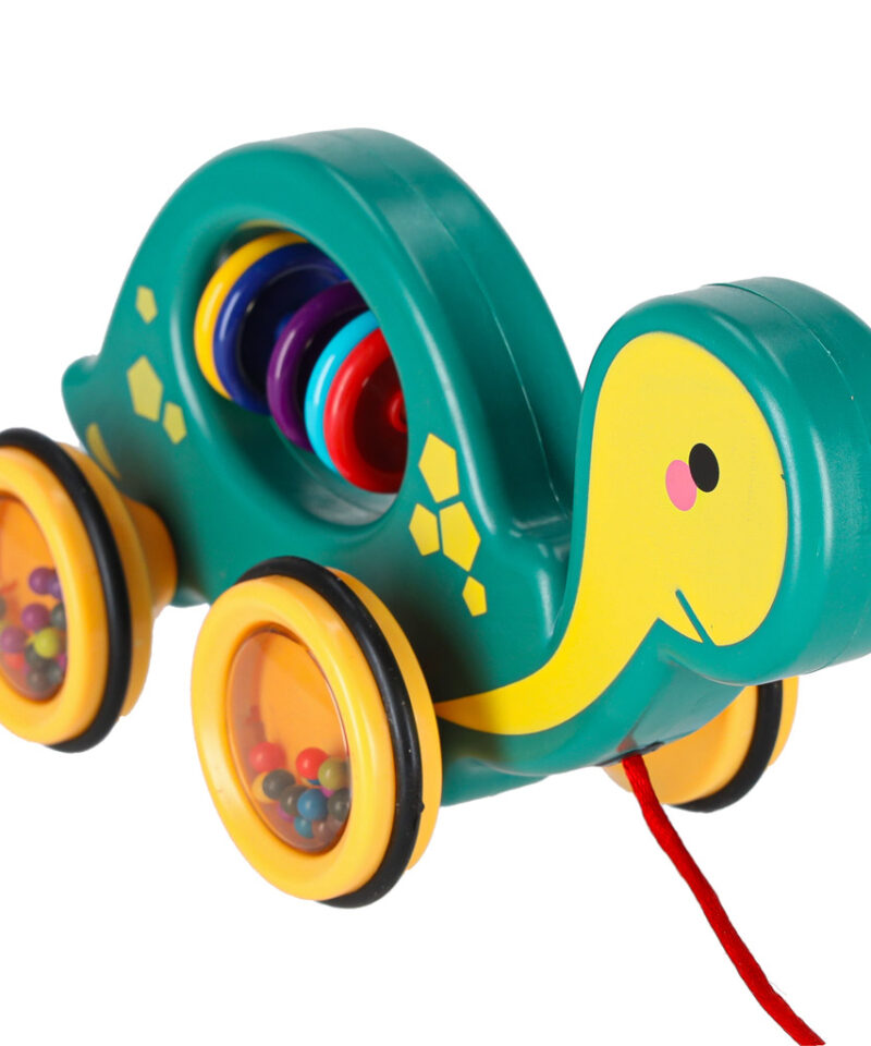 Erksad värvid ja helid kilpkonnal