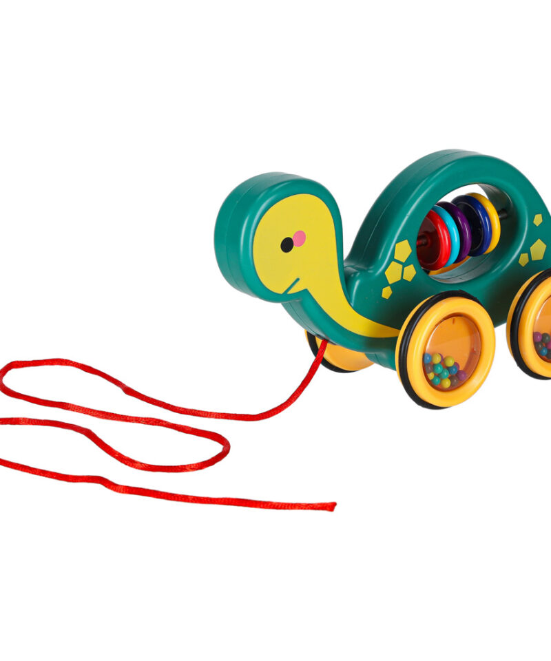 Keskkonnasõbralik puidust kilpkonn