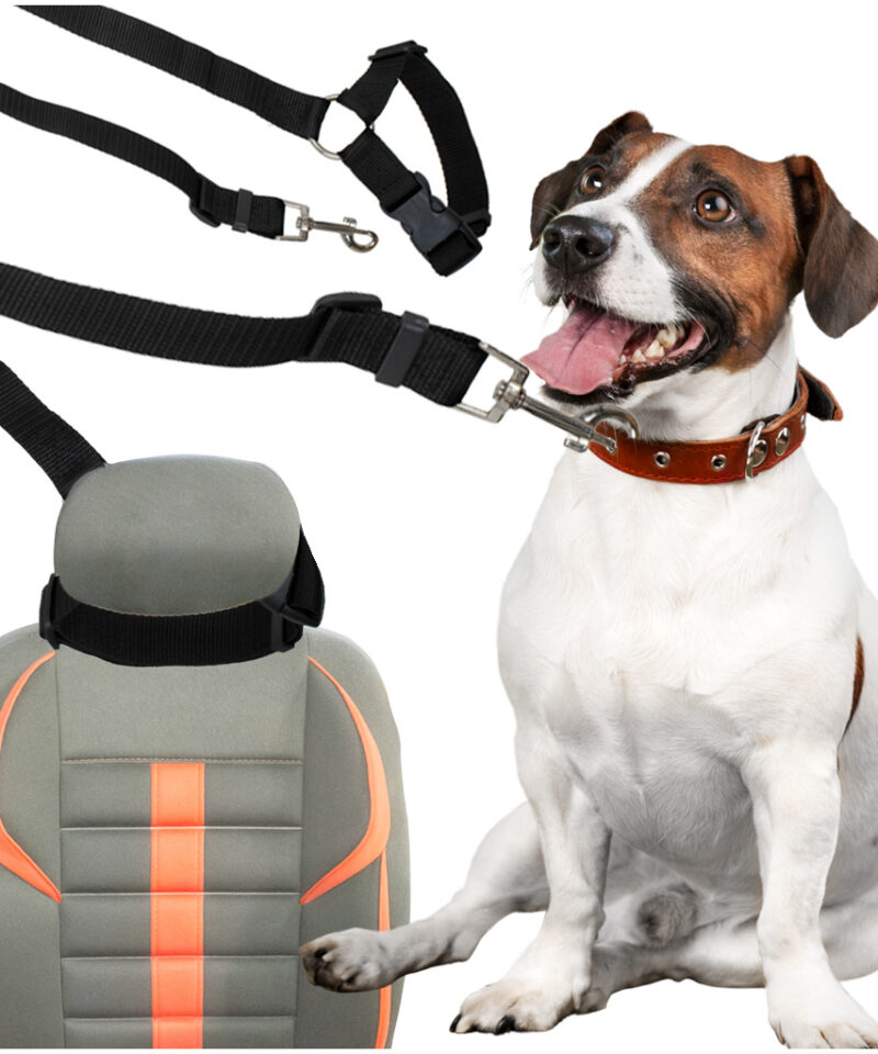 Reguleeritav lemmiklooma turvavöö autos