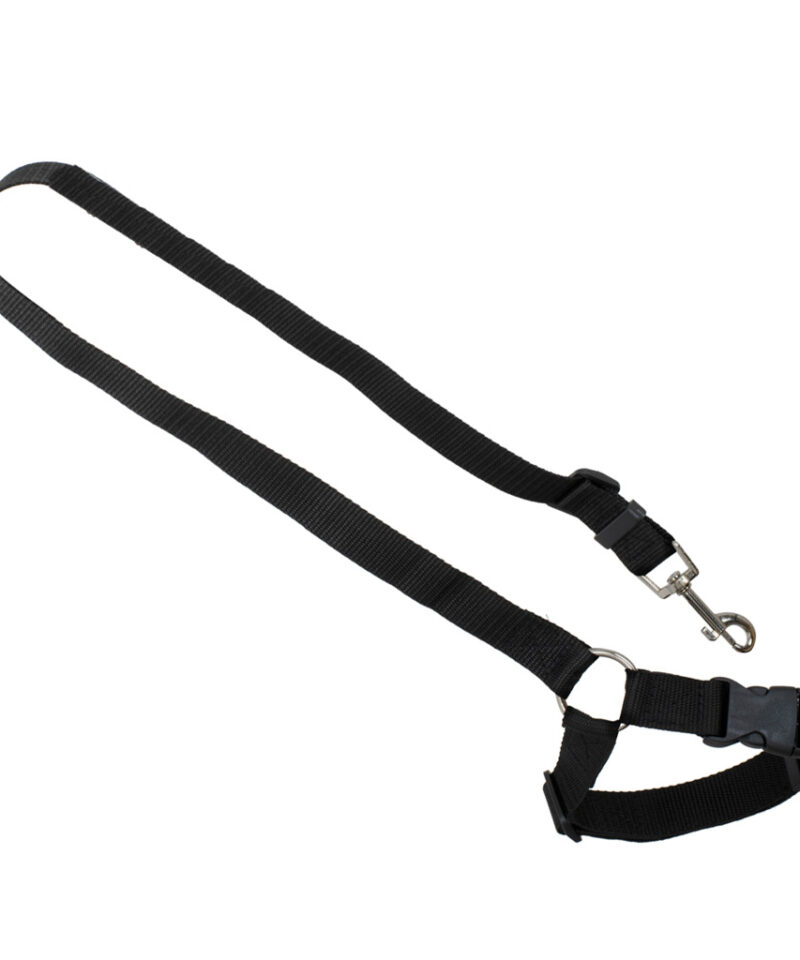 Turvavöö tagab lemmiklooma ohutuse