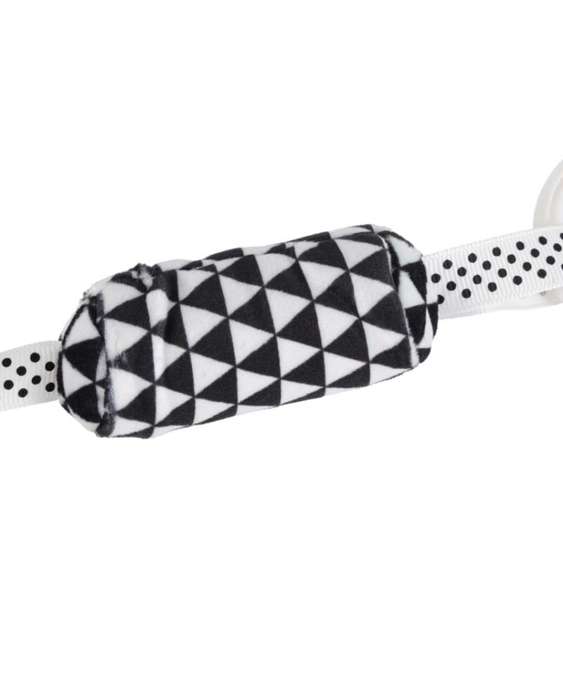 Arendav mänguasi väikestele avastajatele