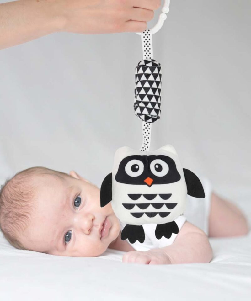 Ideaalne kingitus beebile