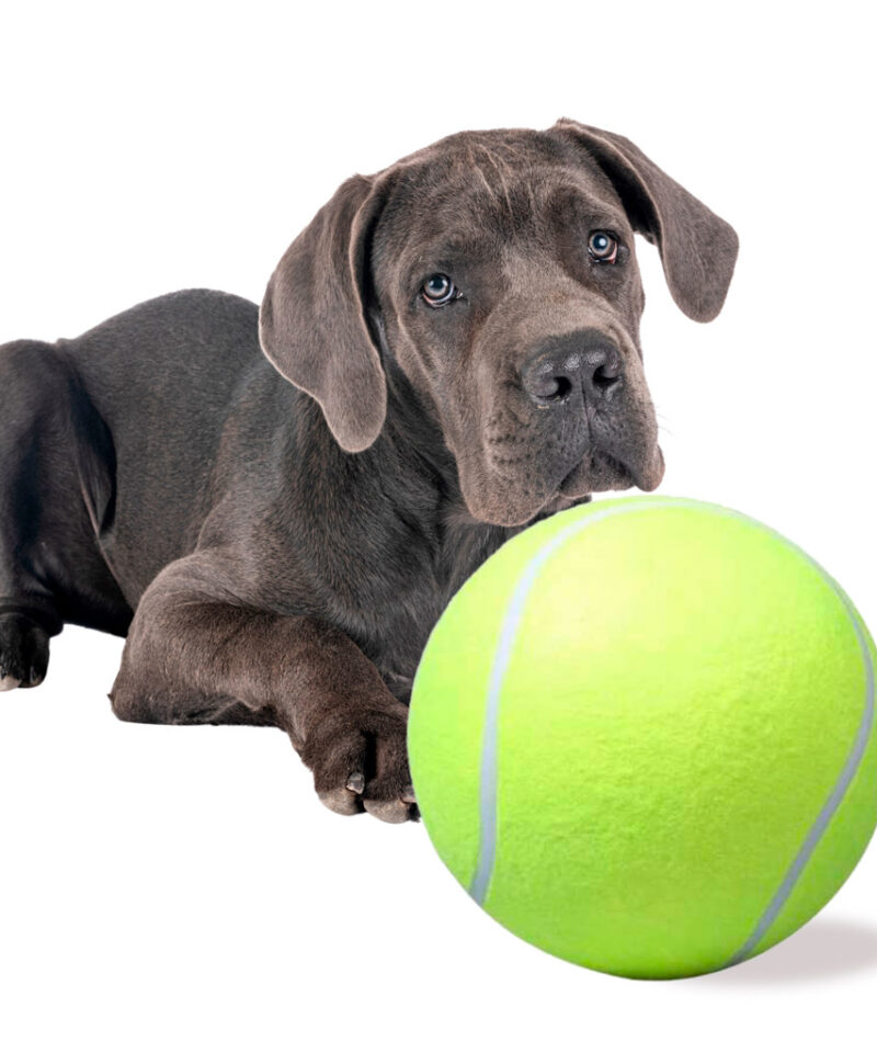 Vastupidav ja suur tennisepall