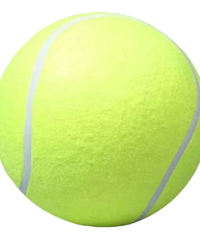 Koera mänguasi, mis pakub lõbu