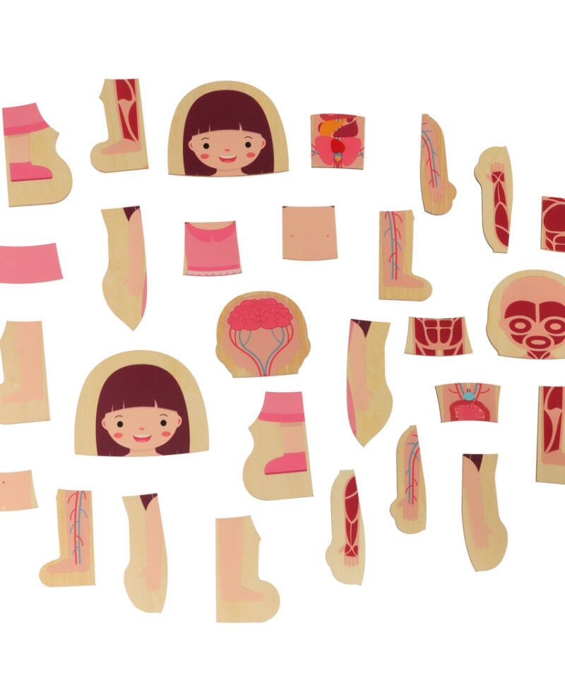 Lastele turvaline puidust pusle