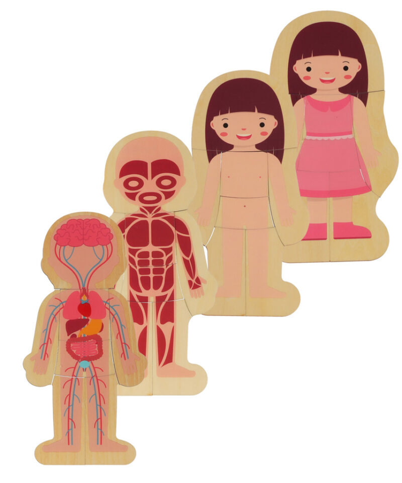 Lastele turvaline puidust pusle